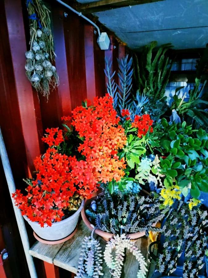 Adam'S Holiday House 2019 Karianí Exteriér fotografie